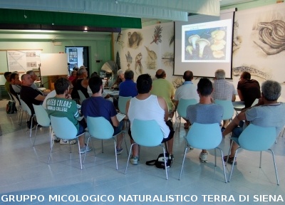 Corso per raccoglitori funghi a Montepulciano