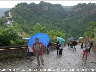 Escursione naturalistica