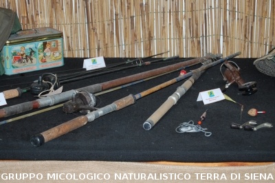 Corso per raccoglitori funghi a Montepulciano