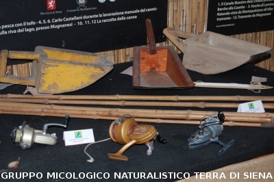 Corso per raccoglitori funghi a Montepulciano