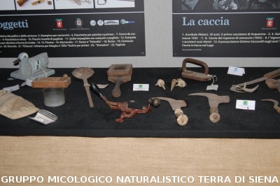 Corso per raccoglitori funghi a Montepulciano