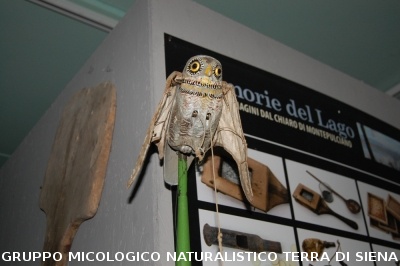 Corso per raccoglitori funghi a Montepulciano