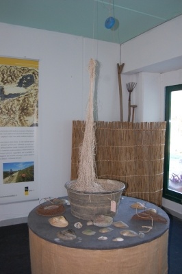 Corso per raccoglitori funghi a Montepulciano