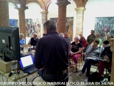 Corso per raccoglitori funghi a Ville di Corsano