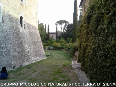 Corso per raccoglitori funghi a Ville di Corsano