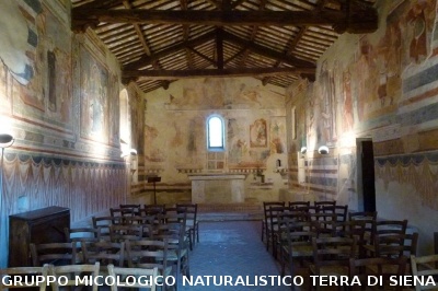 Anello Colle Ciupi - Fungaia