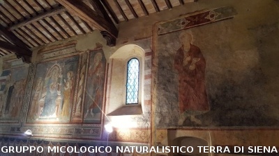 Anello Colle Ciupi - Fungaia