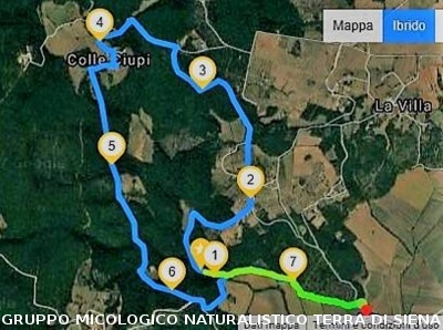 Anello Colle Ciupi - Fungaia