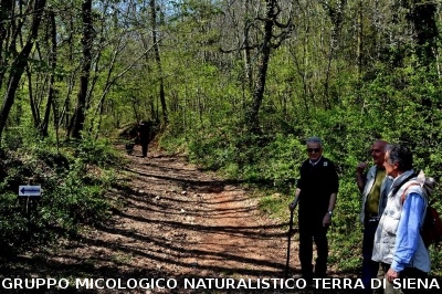 Anello Colle Ciupi - Fungaia