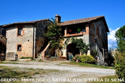 Anello Colle Ciupi - Fungaia