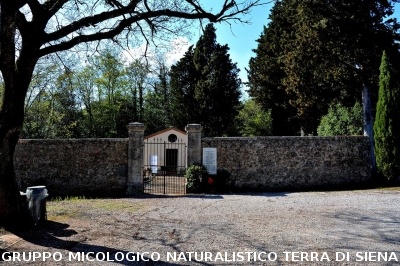 Anello Colle Ciupi - Fungaia