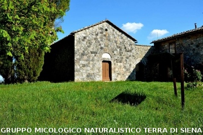 Anello Colle Ciupi - Fungaia