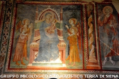 Anello Colle Ciupi - Fungaia