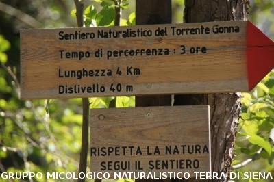 Geosito della Gonna con il Prof. Costantini