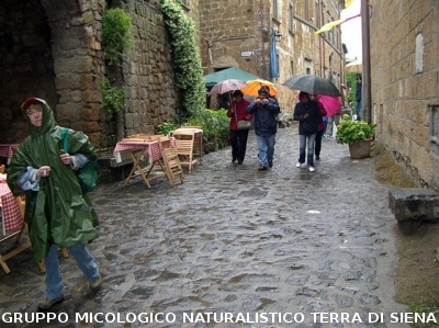 Escursione naturalistica