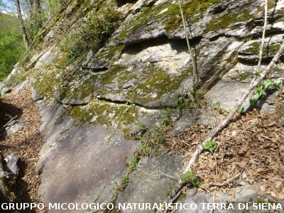Geosito della Gonna con il Prof. Costantini