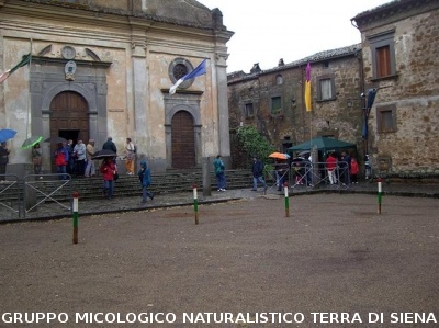 Escursione naturalistica
