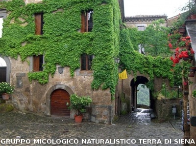 Escursione naturalistica