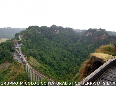 Escursione naturalistica