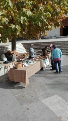 Mostra micologica a Monticiano