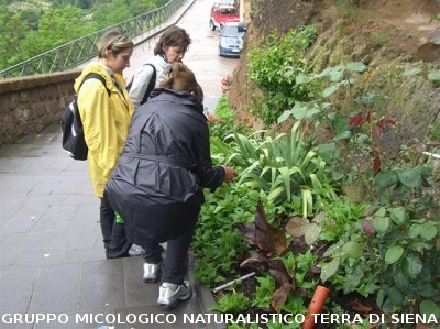 Escursione naturalistica