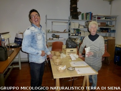 Mostra micologica a Monticiano