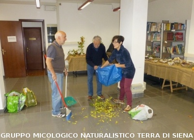 Mostra micologica a Monticiano