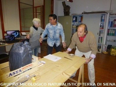 XX Mostra Micologica Senese