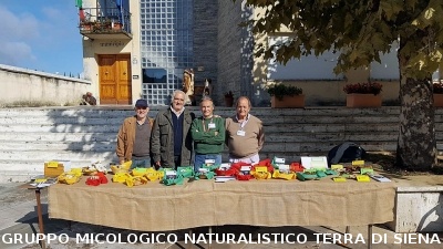 Mostra micologica a Monticiano