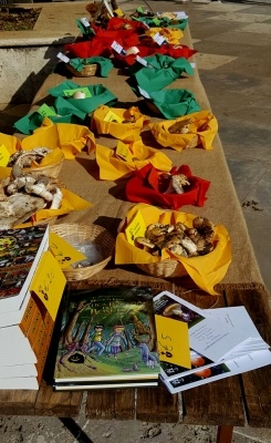 Mostra micologica a Monticiano