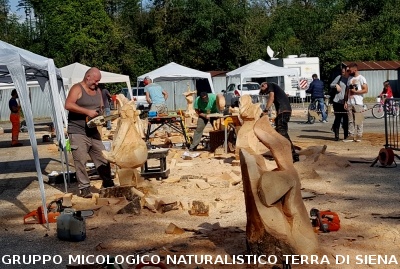 Mostra micologica a Monticiano