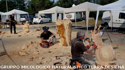 Mostra micologica a Monticiano