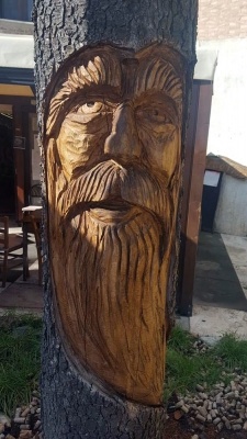 Mostra micologica a Monticiano