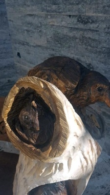 Mostra micologica a Monticiano