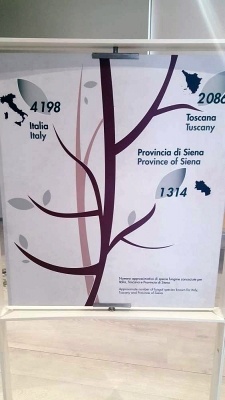 Mostra micologica a Monticiano