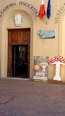 Mostra micologica ai Fisiocritici