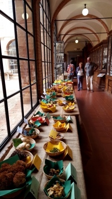 Mostra micologica ai Fisiocritici