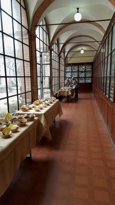 Mostra micologica ai Fisiocritici