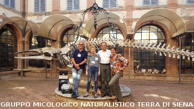 Mostra micologica ai Fisiocritici