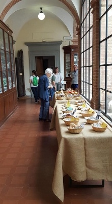 Mostra micologica ai Fisiocritici