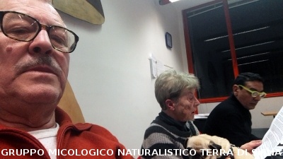 Assemblea Generale