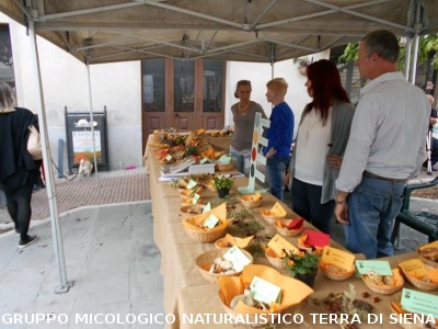 Mostra micologica ad Asciano