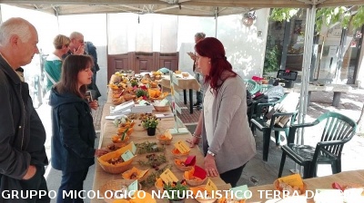 Mostra micologica ad Asciano