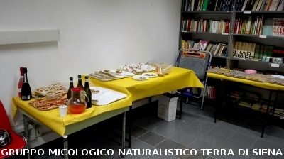 Festa della Donna