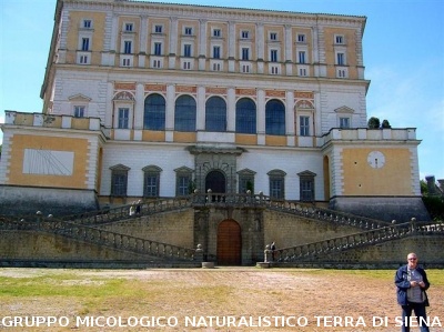 Escursione naturalistica