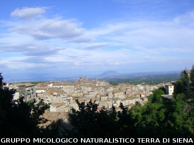 Escursione naturalistica
