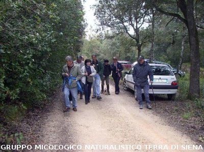 Escursione 2 sulla Montagnola Senese