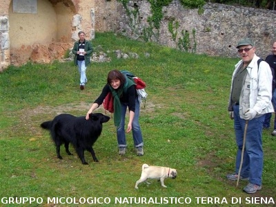 Escursione 2 sulla Montagnola Senese