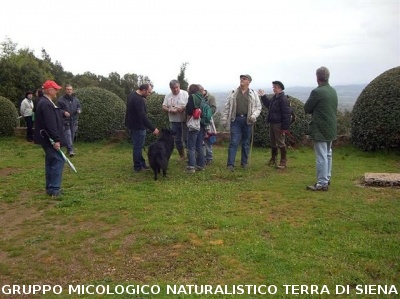 Escursione 2 sulla Montagnola Senese