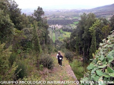 Escursione 2 sulla Montagnola Senese